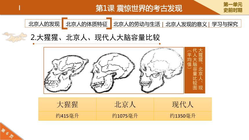 第1课  震惊世界的考古发现 课件1