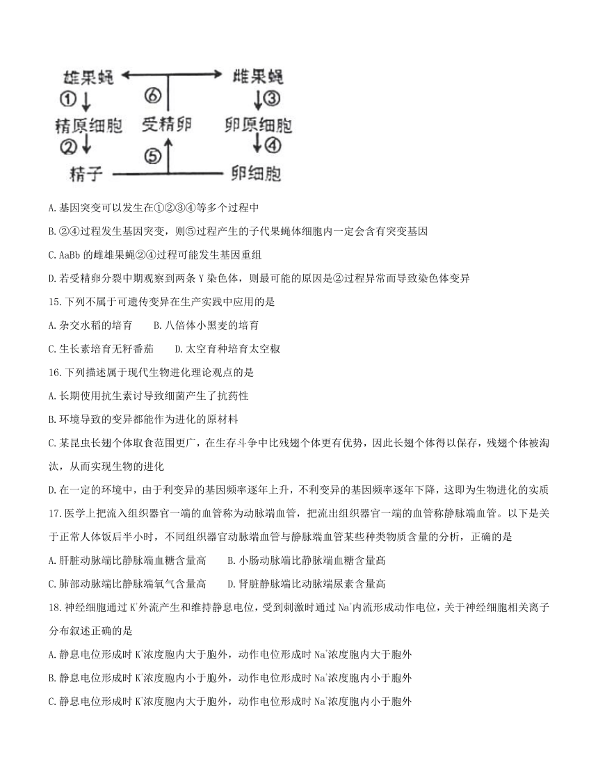 湖南省长沙市2018届高三上学期期末统一模拟考试 生物