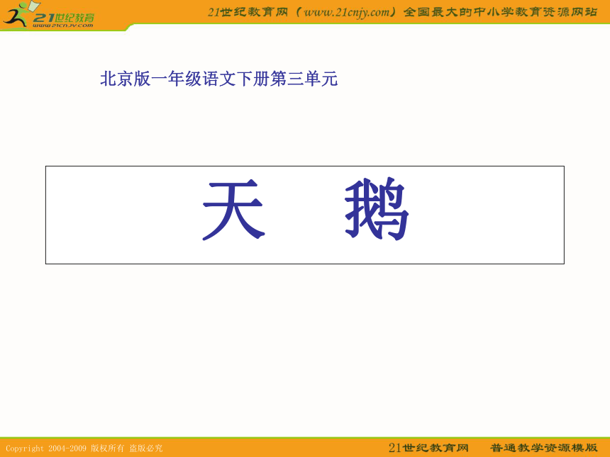一年级语文下册课件 天鹅（北京版）