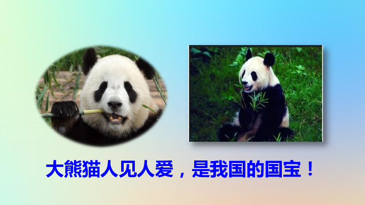 统编版三下语文第七单元习作：国宝大熊猫课件（14张）