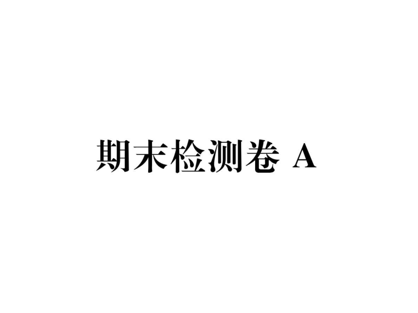 部编语文八年级下册期末检测卷A 课件