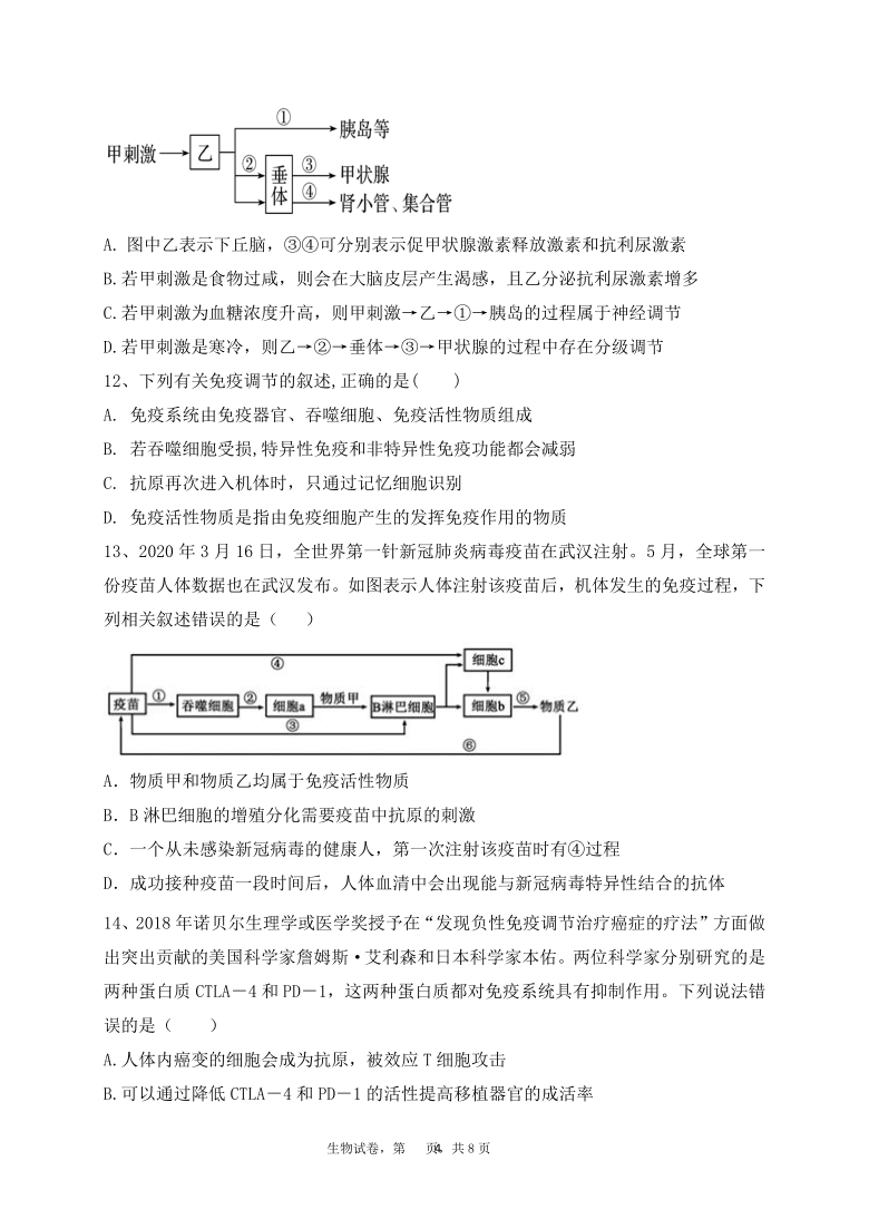 河南省新蔡县2020-2021学年高二上学期1月调研考试生物试题 Word版含答案