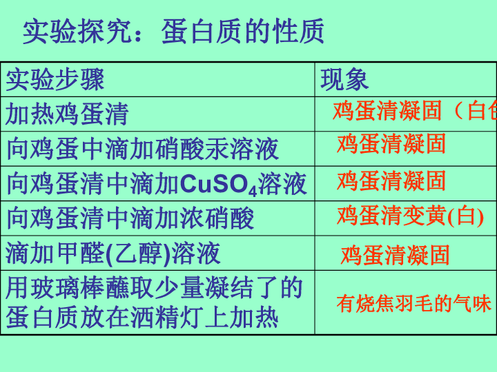 鲁教版九年级化学下册第十单元第三节 远离有毒物质(共33张PPT)