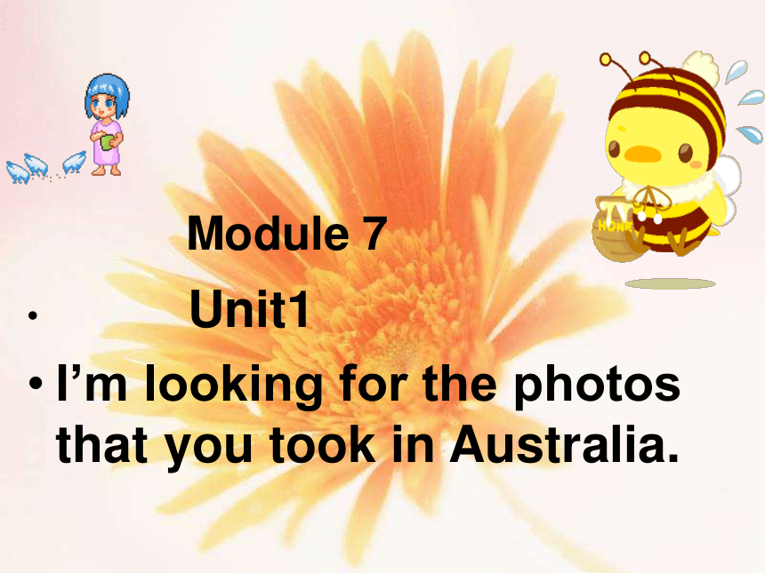 九年级上>Module 7 Australia>Unit 1 I’m looking for the photos that you took in Australia
