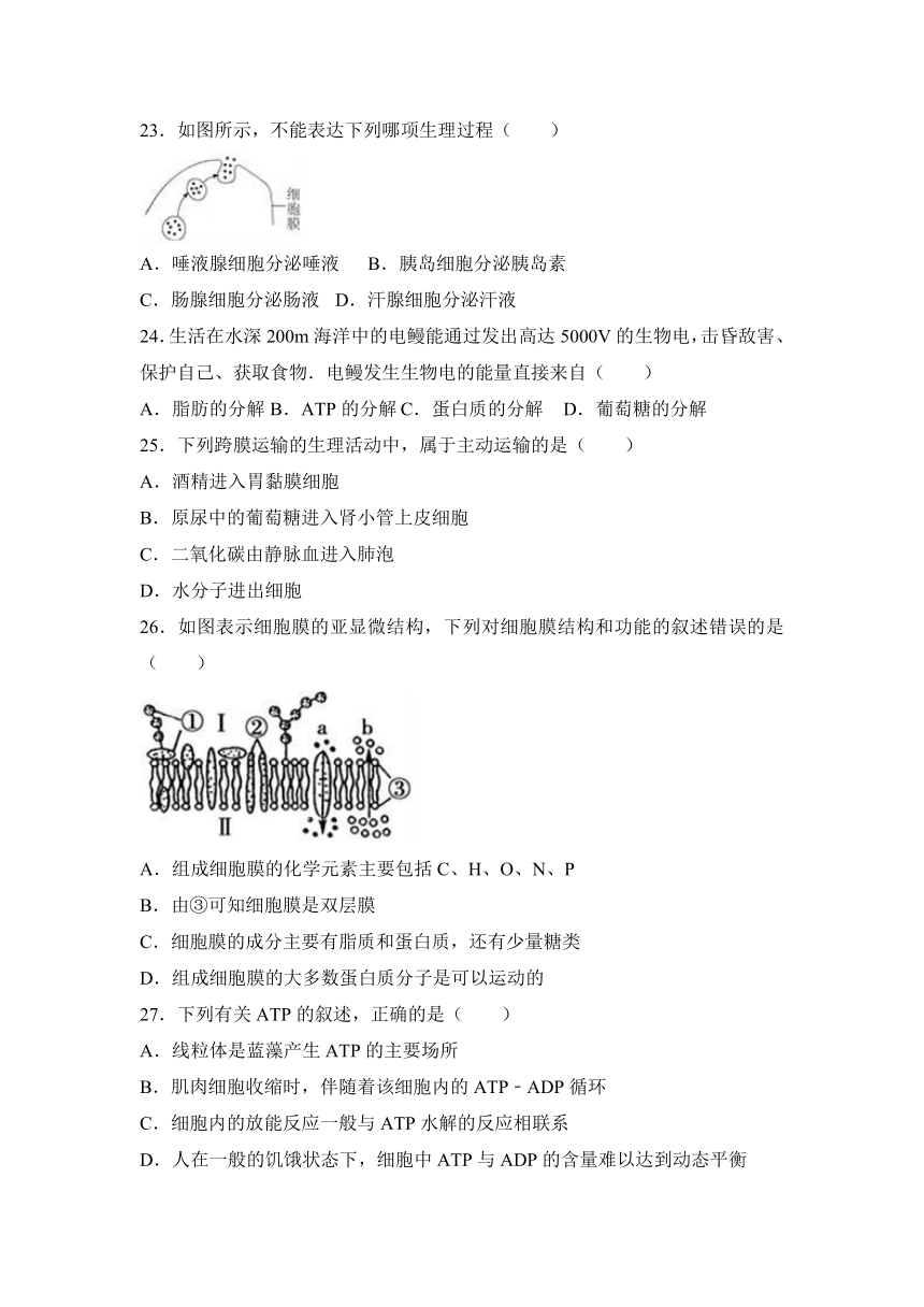 福建省福州市八县一中联考2016-2017学年高一（上）期末生物试卷（解析版）