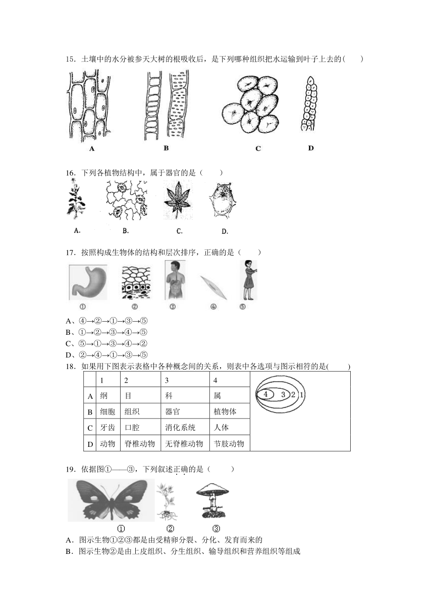 浙教版七年级科学上册2.3《生物体的结构层次》同步练习