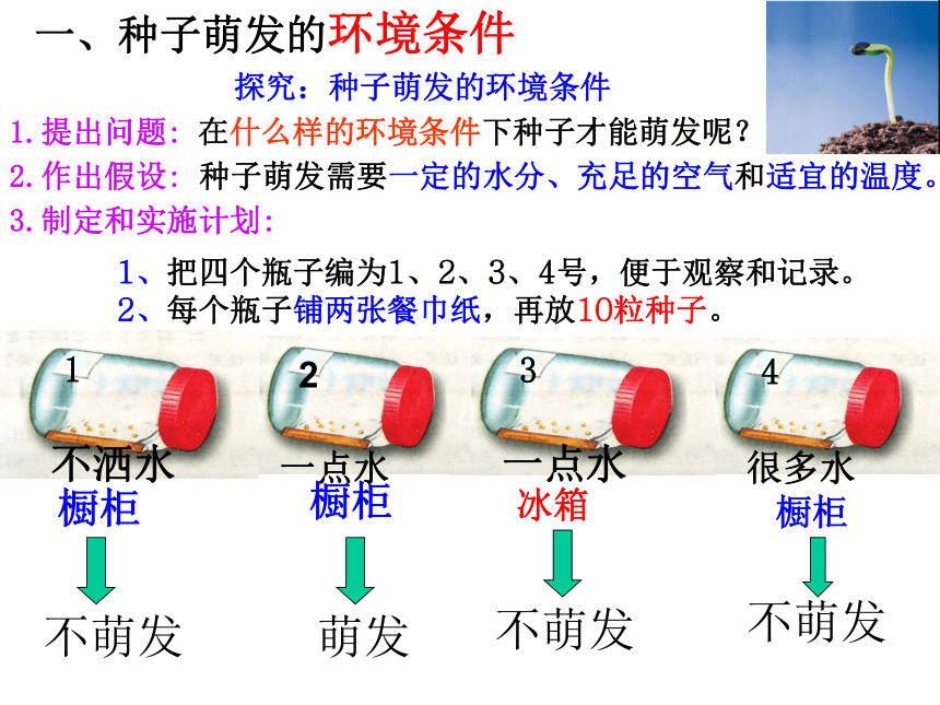 3.2.1种子的萌发课件(共20张PPT)2021-2022学年人教版生物七年级上册