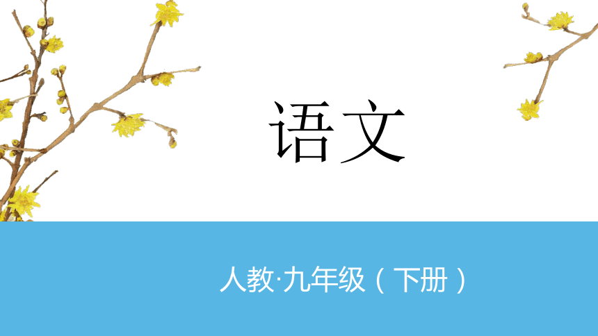 九年级下册语文第三单元写作 布局谋篇课件（共13张PPT）