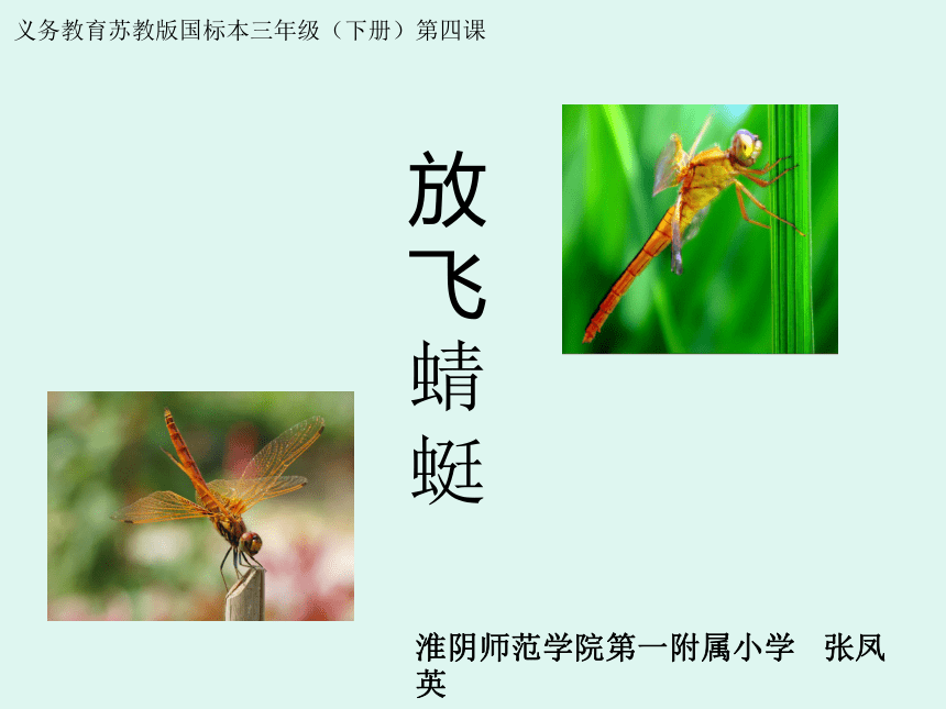 （苏教版）三年级语文下册课件  放飞蜻蜓2
