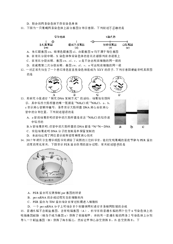 北京市朝阳区2019届高三上学期期中考试生物试题