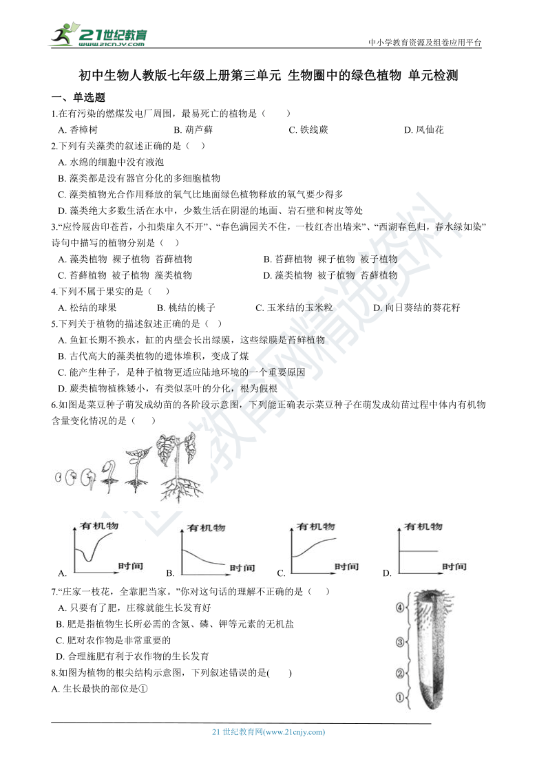 第三单元 生物圈中的绿色植物 单元检测（含答案）