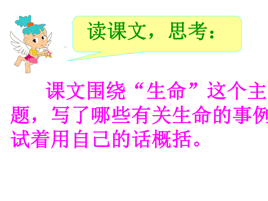 《生命 生命》课件