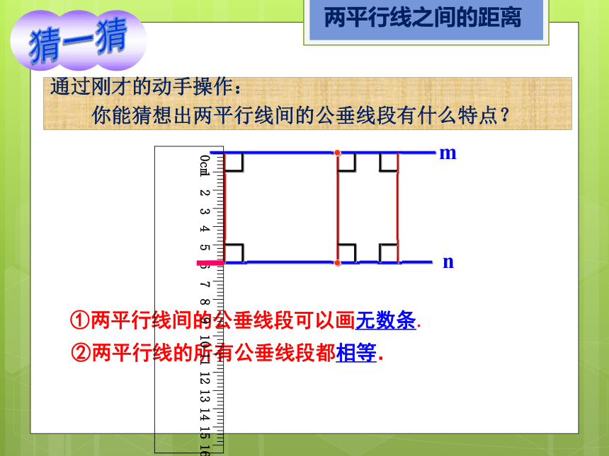 临澧县丁玲学校湘教版七年级数学下册4.6两平行线之间的距离课件（共18张PPT）