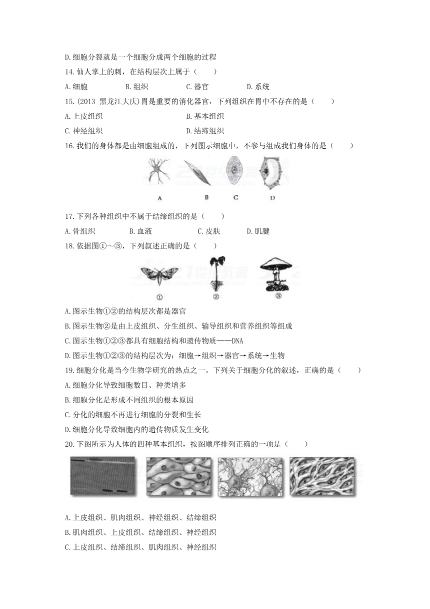 《细胞是生物体生命活动的基本单位》测试卷