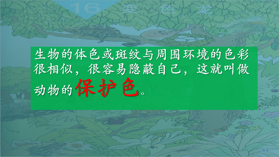 四年级下册科学课件－16.变色龙（青岛版五年制）(共28张PPT)