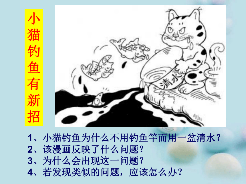 综合探究五 我是社会小主人（人教版七下）