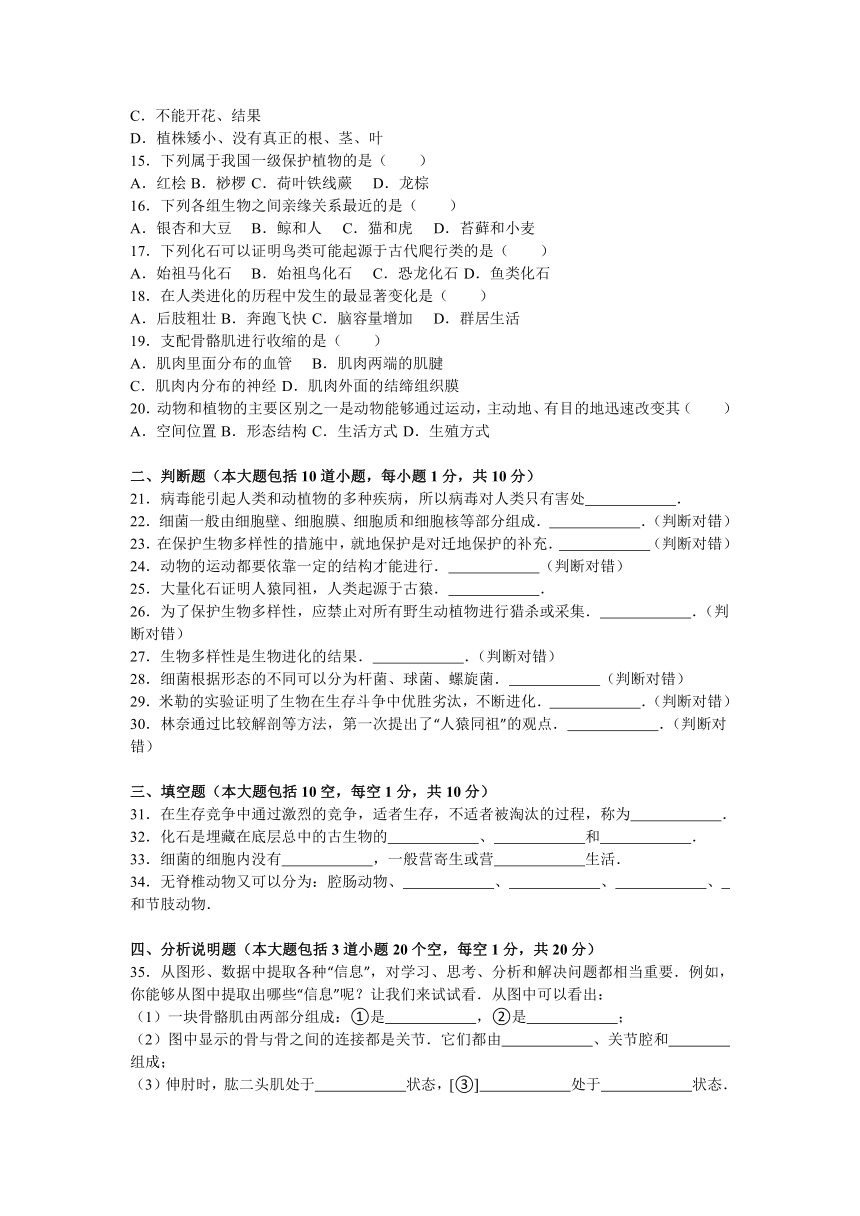 甘肃省武威市四中2014-2015学年八年级（上）期中试卷（解析版）