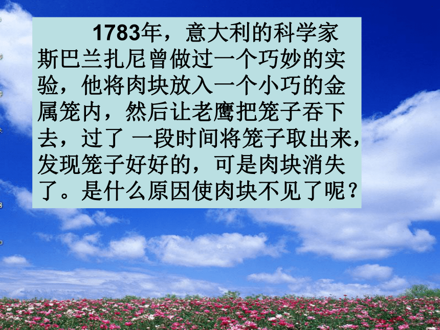 人教版 七下 4.2.2消化和吸收 课件 人教版七年级生物下册（46张PPT）