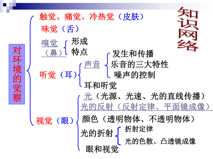 第2章 对环境的察觉 复习