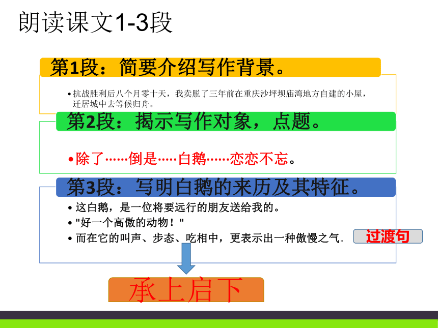 2017春语文（语文版）七年级下册3 白鹅 课件