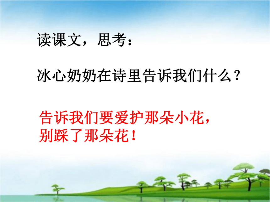 《别踩了这朵花》课件(共22张PPT)