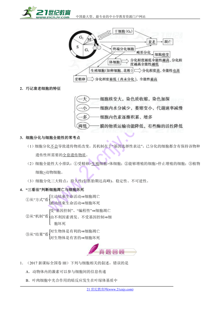 2018年高考生物考前20天终极冲刺攻略（第02期）