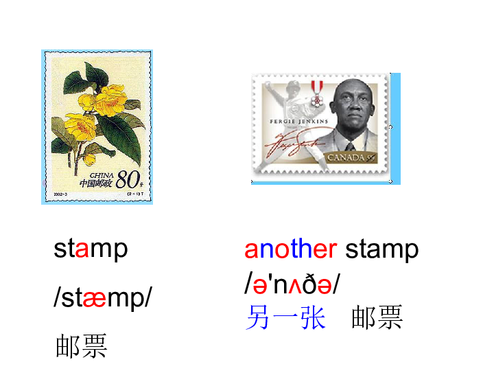 Unit 1 collecting stamps is my hobby   课件    (共23张PPT)