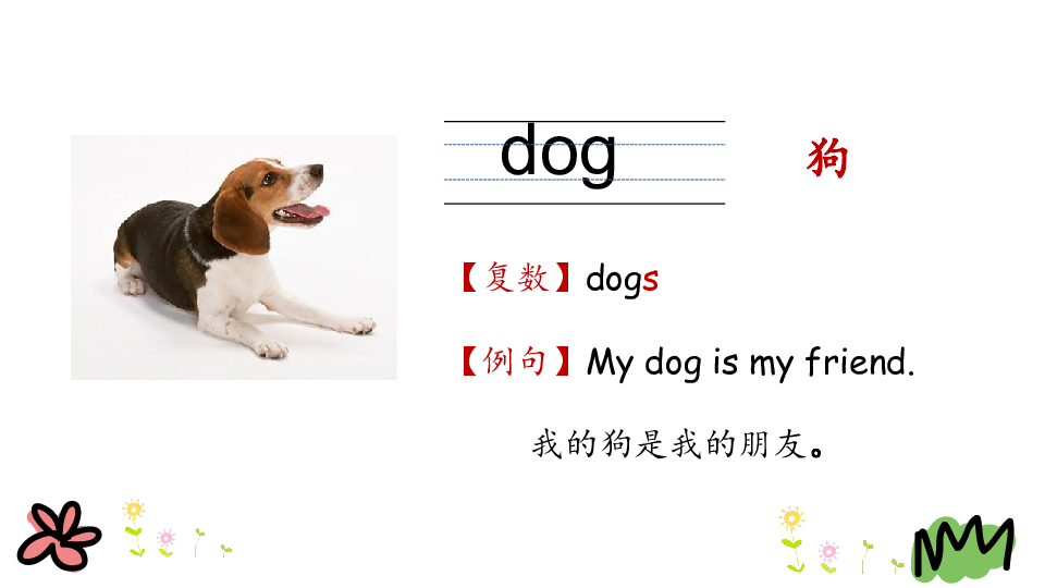 Lesson 2 Cats and dogs 课件 24张PPT 无音视频