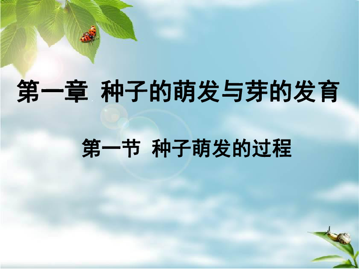 第一节 种子萌发的过程(共20张PPT)