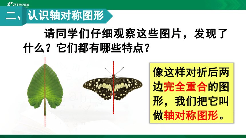 人教版数学二年级下册 轴对称图形 课件（20张ppt)