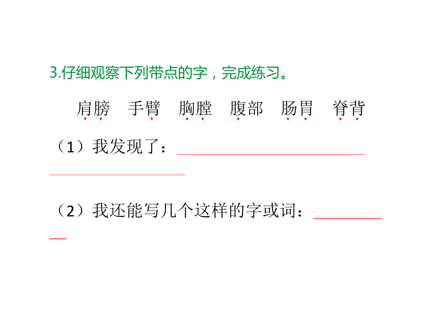 六年级下册语文课件－小升初专题复习二  汉字  全国通用(共25张PPT)