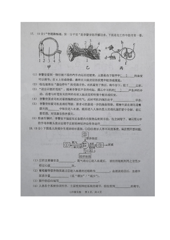 广西浦北县2019-2020学年七年级下学期期末考试生物试题（图片版）