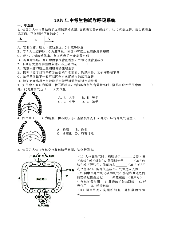 2019年湖南省湘潭市锰矿中学中考专题复习：呼吸系统 测试题（含答案）