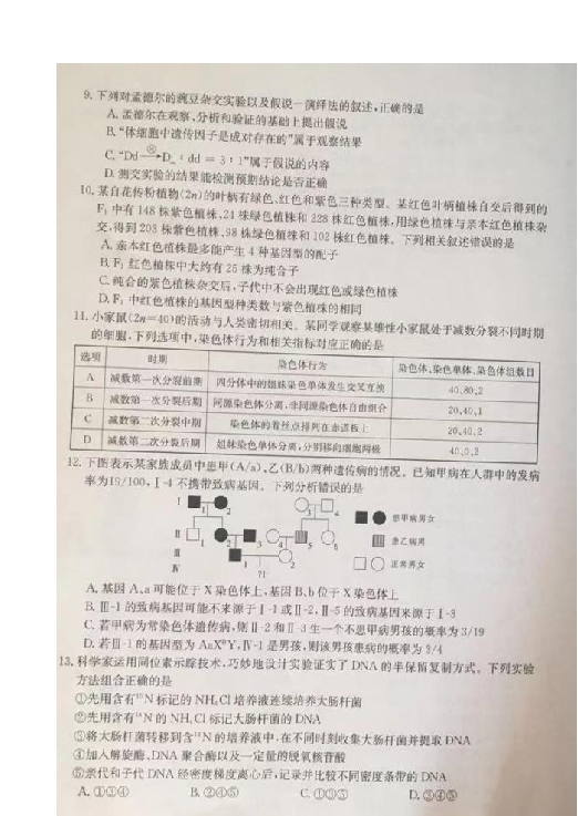 河北省邢台市2020届高三上学期第一次摸底考试生物试题 扫描版含答案