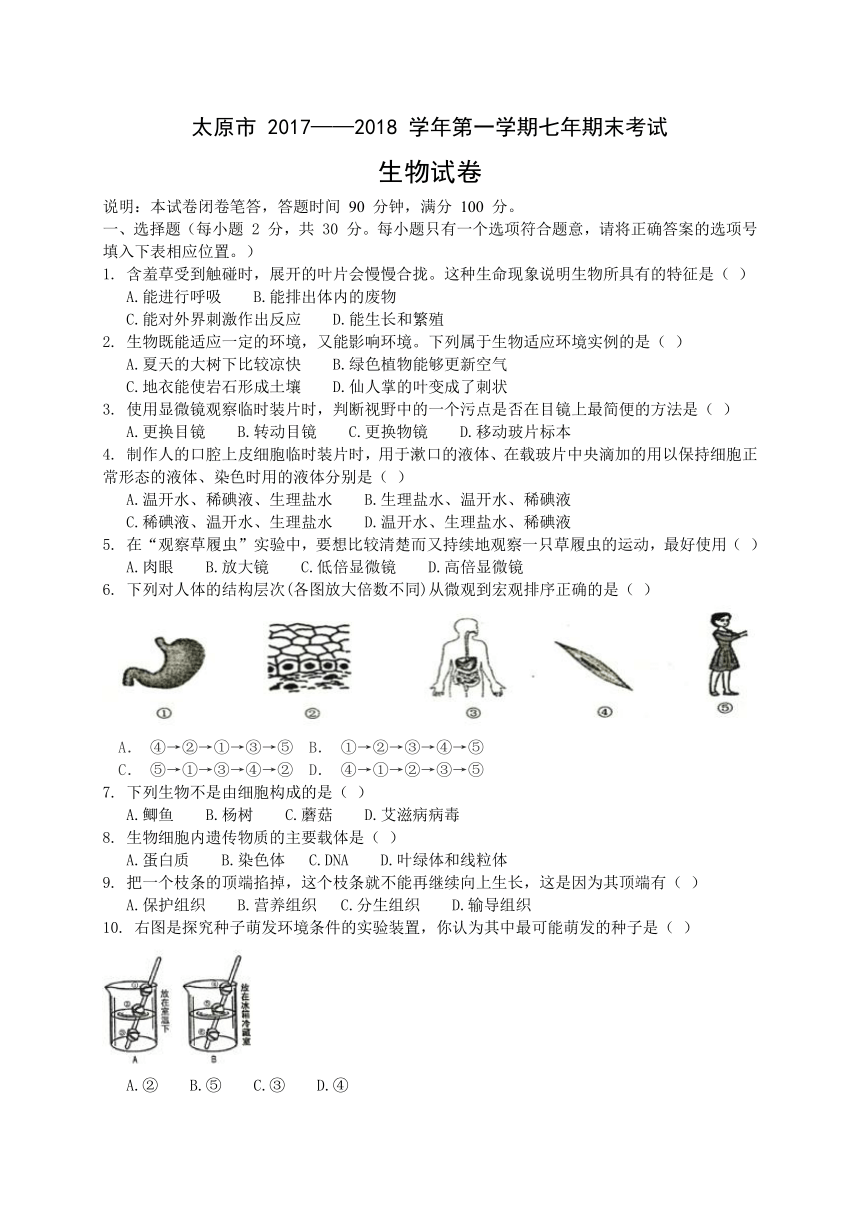 山西省太原市2017-2018学年七年级上学期期末考试生物试题（WORD版）