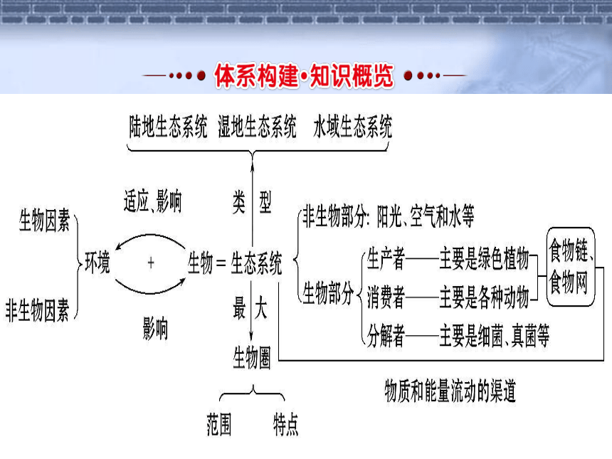 人教版七八年级生物全册知识专题体系概览（20PPT）