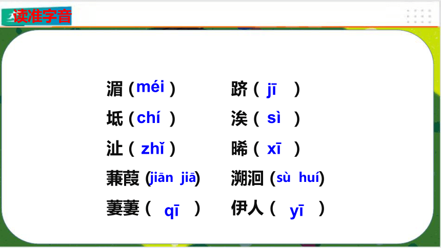 12詩經二首蒹葭課件共31張ppt