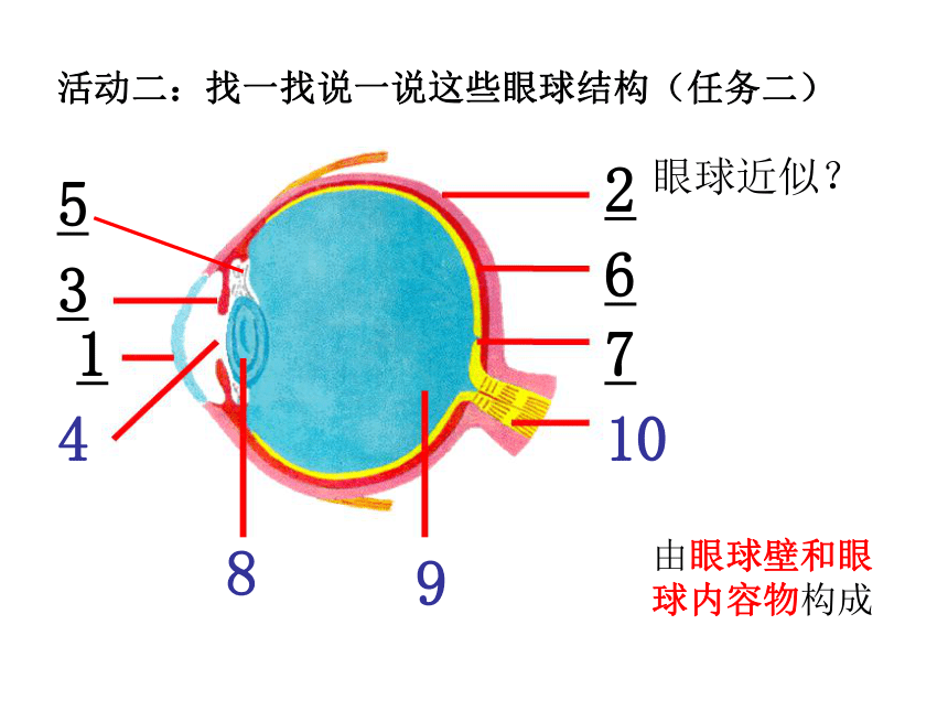 第11章 感知与协调  生物的感觉  人体具有的感觉