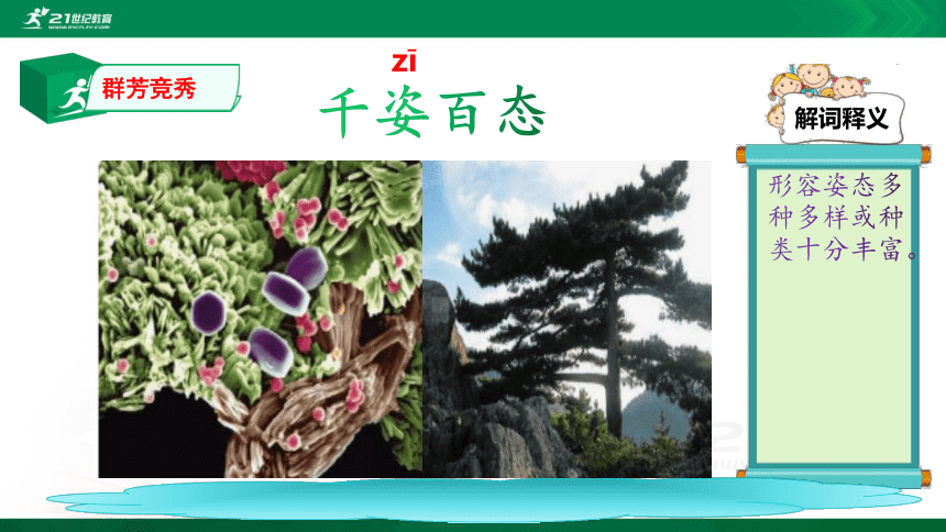 (23)语文中小学插图词汇积累：群芳竞秀 课件(共27张PPT)