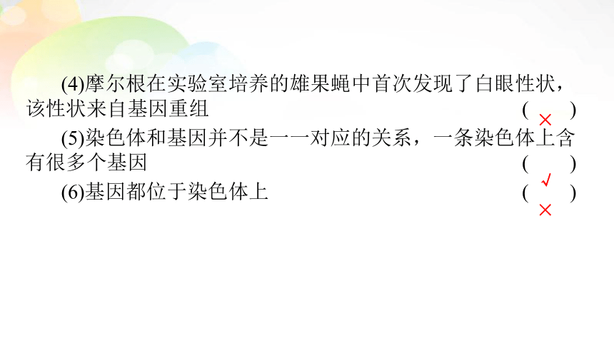 【备考2022一轮复习】必修2 第1单元 第3讲 基因在染色体上、伴性遗传（共95张PPT）