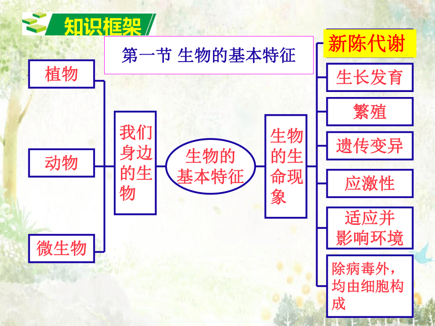 2021年中考复习济南版七年级上册生物第一章 认识生命现象复习课件