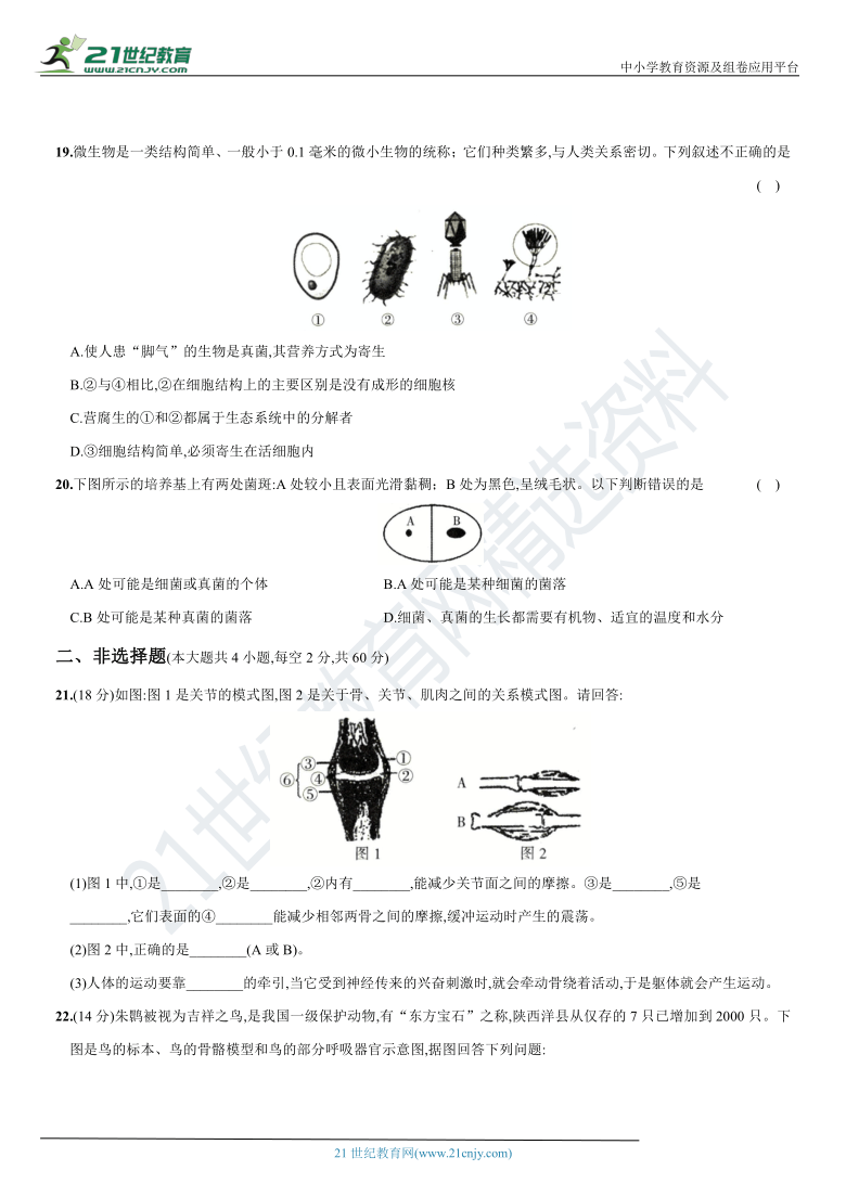 期末综合模拟卷-2020-2021学年八年级（山西太原）生物上册期末复习测试卷（含答案）