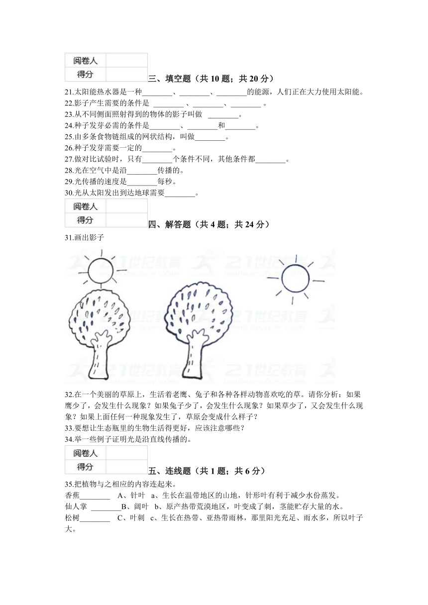 五年级科学（教科版）上册期中检测试卷