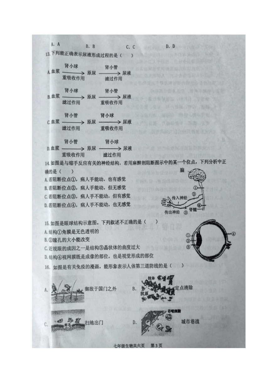 山东省汶上县2017-2018学年七年级下学期期末考试生物试题（图片版 含答案）