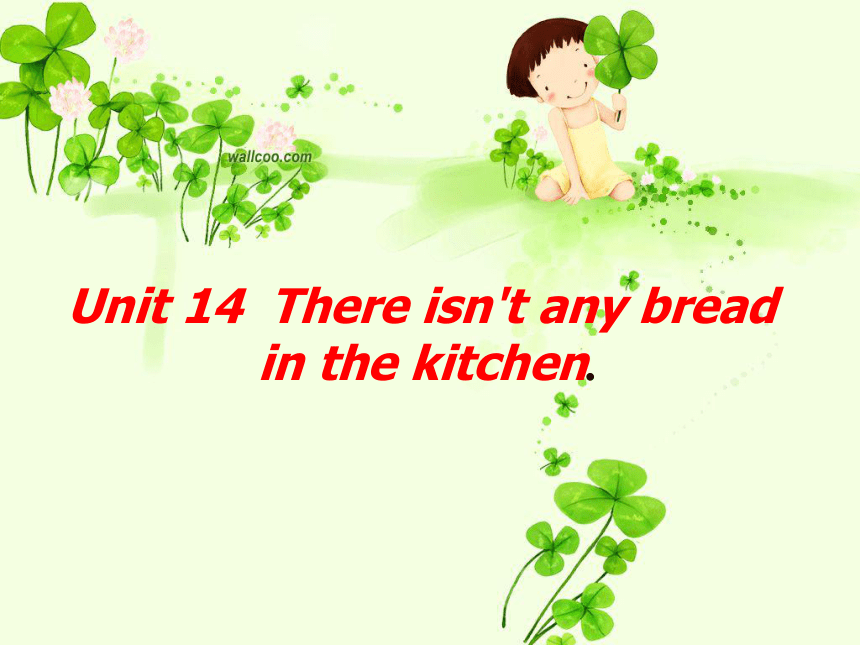 Unit 14 There isn't any bread in the kitchent 课件