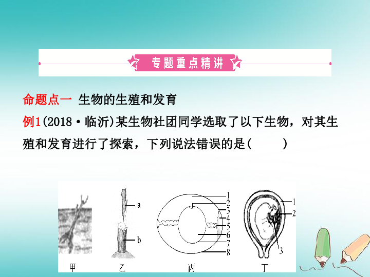 （济宁专版）2019年中考生物专题八复习课件（18张PPT）