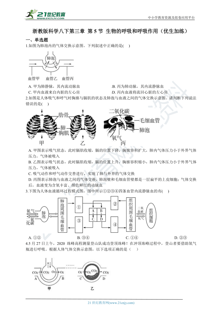 第三章 第5节 生物的呼吸和呼吸作用 一课一练 含解析（优生加练）