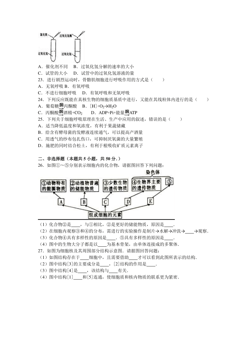 广西河池市示范性高中课改联盟体2016-2017学年高一（上）第二次联考生物试卷（解析版）