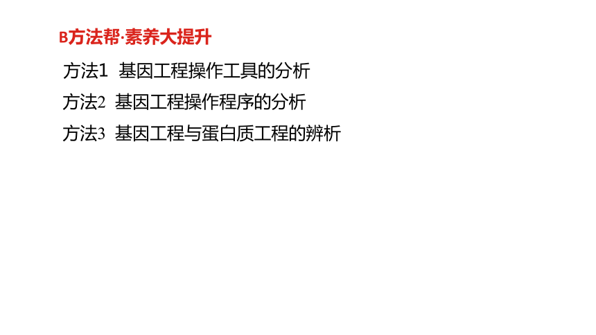 2019届高考生物一轮复习课件：第十单元专题 二十八 基因工程 (共86张PPT)