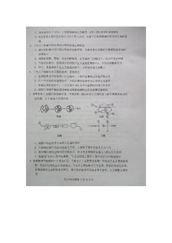 山东省栖霞二中2019届高三上学期期末考试生物试卷（扫描版）